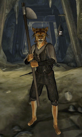File:Khajiit Laborer.png