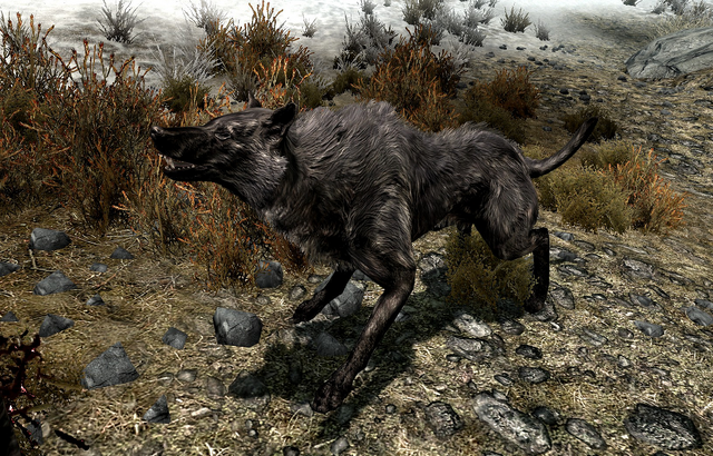 File:Pit Wolf.png