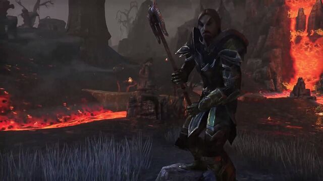 File:Dark Elf (Online).jpg
