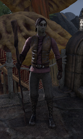 File:Faven Thendas.png