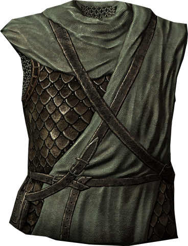 File:WinterholdGuardsArmor.png