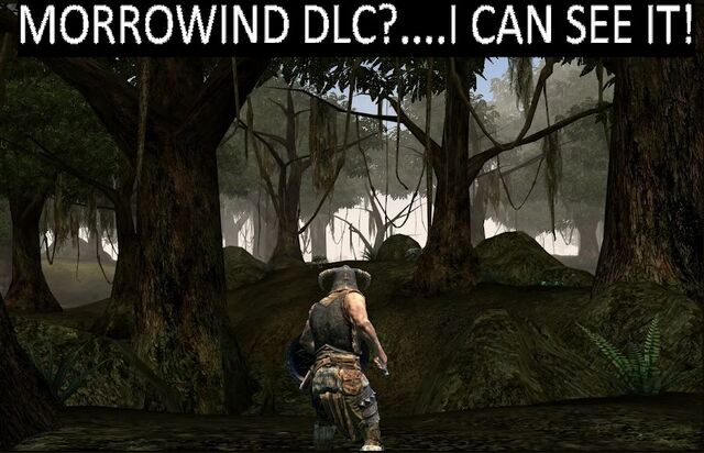 File:Morrowind DLC....jpg