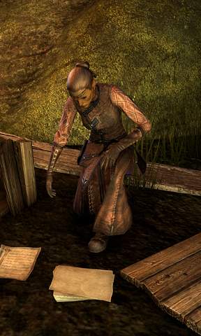 File:Penundil.png