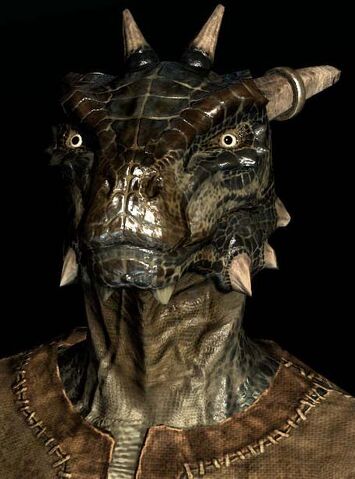 Dosya:SR-race-M-Argonian.jpg