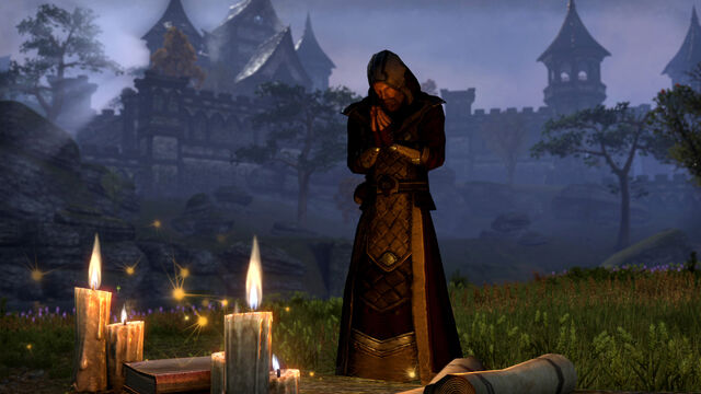 File:Breton in Stormhaven.jpg