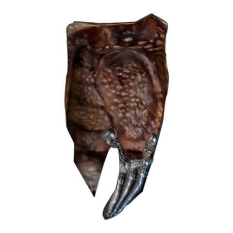 File:DreughshieldMorrowind.png