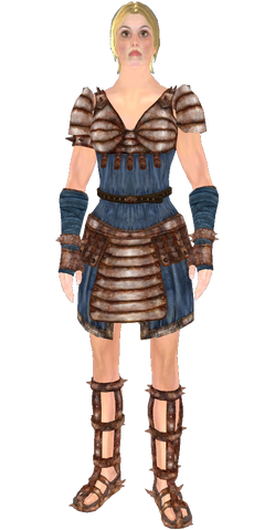 File:ArenaHeavyArmorBlue.png