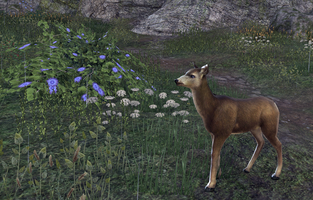File:Deer (Online).png