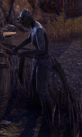 File:Geel-Nur.png