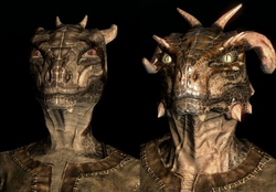 Argonian b5&c3.png