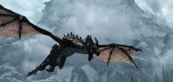 Drachen.jpg