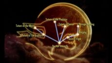 Dawnguard-werewolf-tech-tree-494x277.jpg