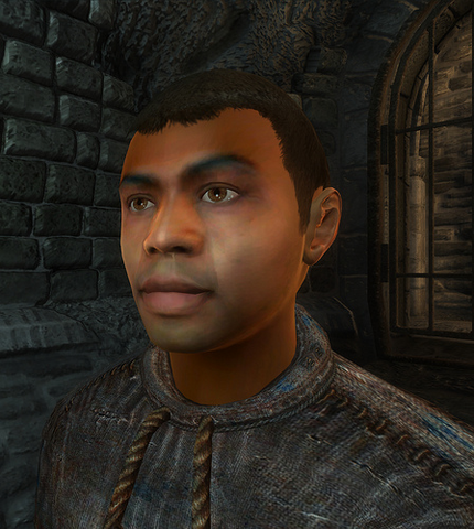 Tiedosto:Oblivion-Redguard.png
