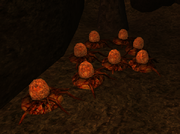 Kwama Eggs.png