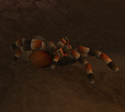 Cave Spider