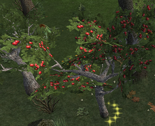 RedAppleTree