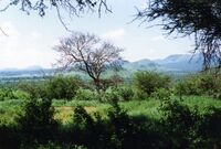 Tsavo-West.jpg