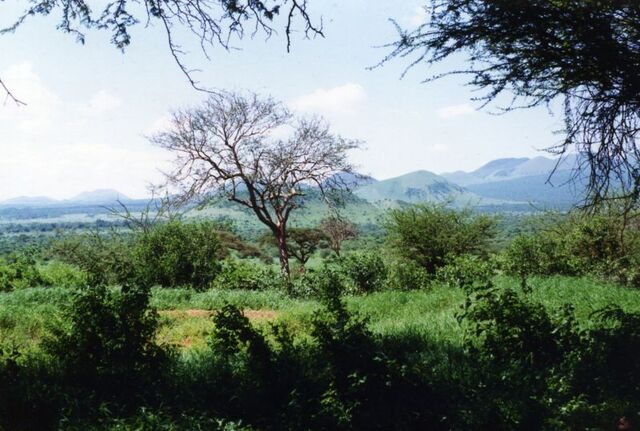 Datei:Tsavo-West.jpg