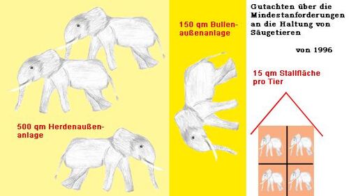 Elefantenhaltung.jpg
