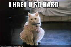 Ihaetusohard