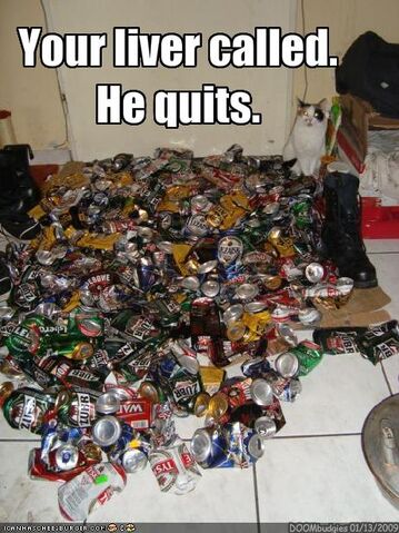 File:Funny-pictures-cat-has-a-message-to-you-from-your-liver.jpg