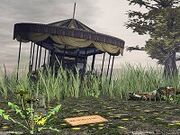 Campcarnival-carousel1