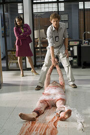 Dexter 209 0211
