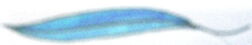 Elements quill
