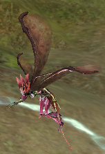 Dream blossom