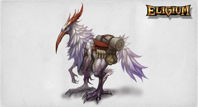 File:1200x650 Dodo 2.jpg