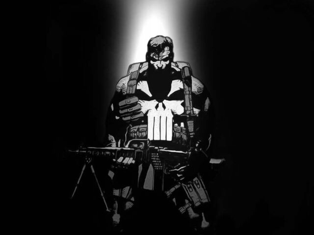 File:The-punisher 1336429876.jpeg