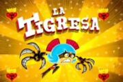 Tigressa
