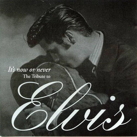 File:Various artist - its now or never the tribute to elvis.jpg