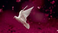 Thumbnail for version as of 13:35, December 16, 2011