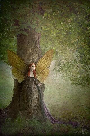 File:Fairy 5.jpg