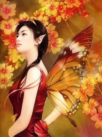 File:Fairy 4.jpg