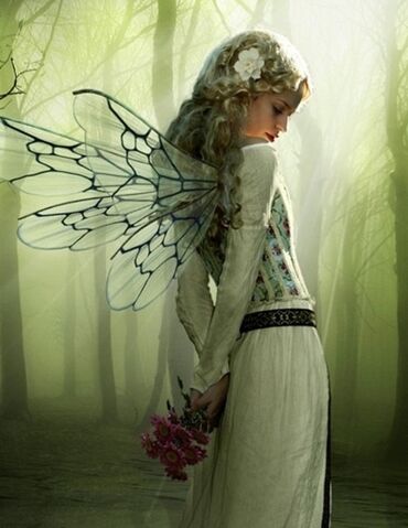 File:Fairy 2.jpg
