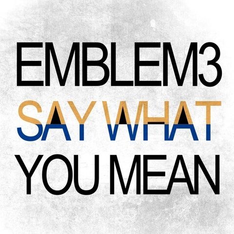 File:Say what you mean.jpg