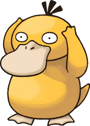 Psyduck Derp