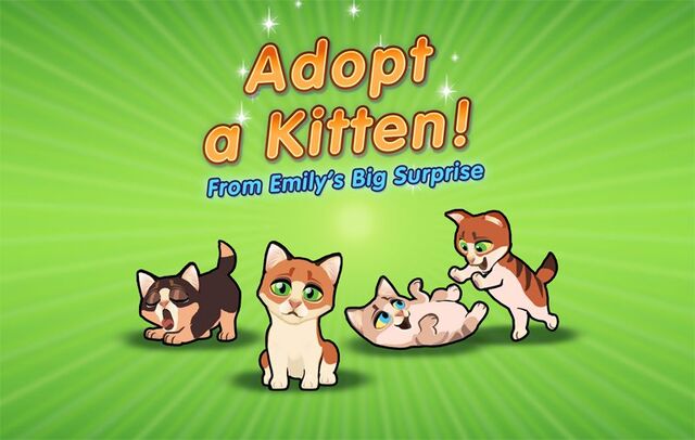 File:Kitten.jpg