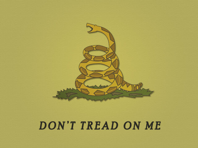 File:Don't-Tread-On-Me-1024.jpg