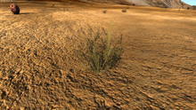Fibre plant