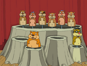 Goofy gophers