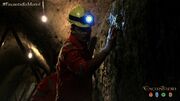 Miner