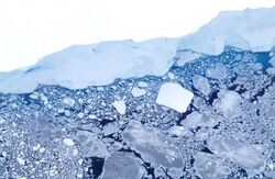 101214 AntarcticSeaIce.grid-6x2.jpg