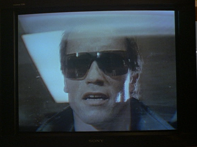 File:Arnold Schwarzenegger.png
