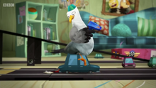 The Fast and the Furriest - Gull