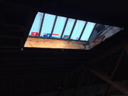 Windowflags