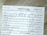 Birthcertificate2