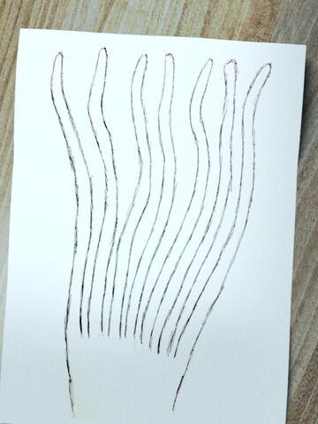 File:Sketch.jpg